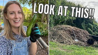 AN UNBELIEVABLY SUCCESSFUL DAY  ALLOTMENT GARDENING UK [upl. by Yelyab]