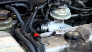 Ford Focus 18 TDDI EGR Cleaning with spraypulizia valvola egr [upl. by Raeann648]