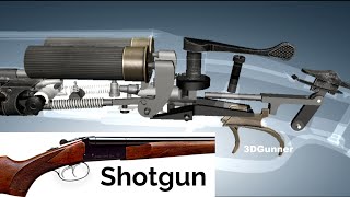 3D Animation How a Shotgun works [upl. by Ocirderf]