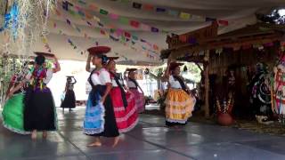 Danza Típica de Michoacán [upl. by Idelson244]