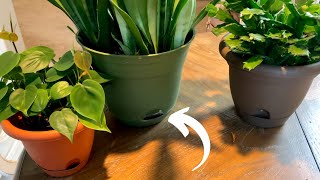 Self Watering Pots Explained  Easy Plant Care [upl. by Auof]