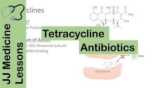 Tetracycline Antibiotics [upl. by Anauj]