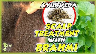 The many benefits of BRAHMI for your hair  Science and Recipe [upl. by Yruama]