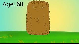 Plants vs Zombies 2 tall nut ages [upl. by Clancy417]