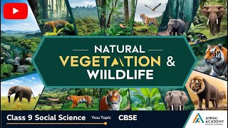 Explore Nature’s Wonders Natural Vegetation amp Wildlife  Class 9 CBSE [upl. by Ardnuahc]