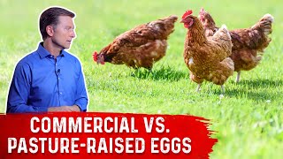 Commercial Eggs vs PastureRaised Eggs – DrBerg [upl. by Jahdal220]