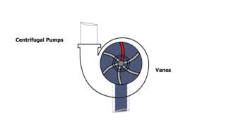 Centrifugal Pump Animation [upl. by Braunstein]