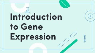 Y1112 Biology Introduction to Gene Expression [upl. by Oicatsana]