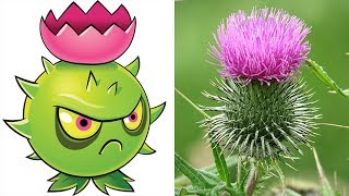 Plants vs Zombies 2 Plants In Real Life [upl. by Wobniar445]