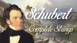 Schubert Complete String Quartets [upl. by Bergen653]