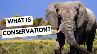 What is conservation [upl. by Alol]