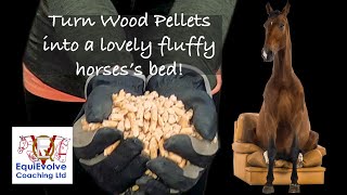 How To Use Wood Pellets As Bedding For A Horse [upl. by Kennett462]