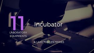 Incubator [upl. by Laughton]