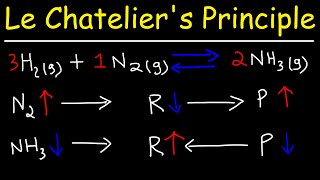 Le Chateliers Principle [upl. by Henke653]