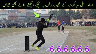 Usama Ali Sialkot Batting in Final Match Highlights [upl. by Anson991]