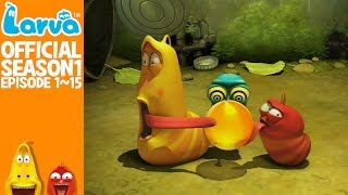 Official LARVA Season 1 Episode 1  15 [upl. by Stavros997]