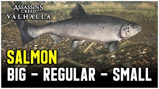 Assassins Creed Valhalla  Salmon Fish Locations Big  Regular  Small [upl. by Ensign]