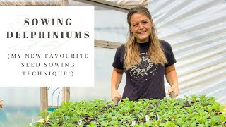 SOWING DELPHINIUM SEEDS  foolproof seed starting technique  FLOWER FARM VLOG  kitchen roll method [upl. by Avi571]