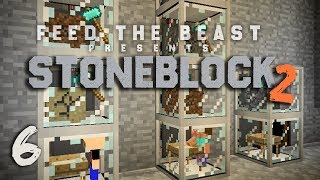 StoneBlock 2 Modpack Ep 6 Automatic Sieve Setup  Item Sorting [upl. by Lewanna876]