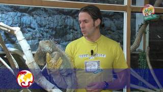 ReptilTV  Folge 15  Handling von Echsen [upl. by Amikan]