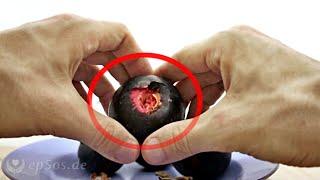 How to Open up Mangosteen Properly [upl. by Stephenson]