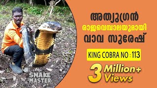 Wow 13 feet long 113th King Cobra rescued  Vava Suresh  Snake Master  Latest episode [upl. by Harleigh]