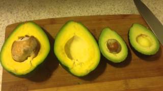 Florida Avocado vs Hass Avocado [upl. by Phyllys]