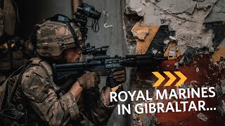 Royal Marines  In Combat with 43 Commando in Gibraltar [upl. by Redman817]