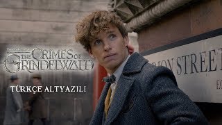 Fantastik Canavarlar Grindelwald’ın Suçları  Yeni Fragman TÜRKÇE ALTYAZILI [upl. by Koran]