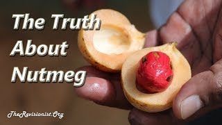 Nutmeg – An Overview of a Psychoactive Spice with Therapeutic Properties [upl. by Letizia]