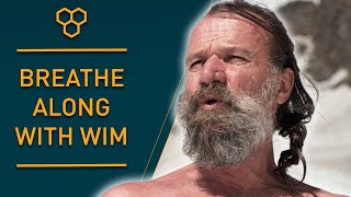 Breathe Along with Wim Hof  Guided Breathing [upl. by Brechtel]