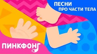 Части тела  Песни про Части Тела  Пинкфонг Песни для Детей [upl. by Buke841]