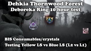 BDO  Deboreka Ring 10 hour grind tests  Dehkia Thornwood [upl. by Undry]