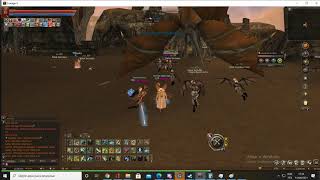 Lineage 2 Essence Project Duelist PVP [upl. by Burner253]