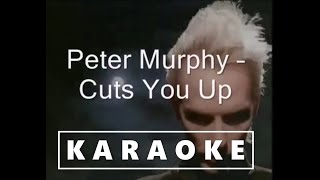 Peter Murphy  Cuts You Up karaoke [upl. by Yblok]