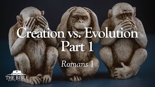 Creation vs Evolution Part 1  Romans 1  Lesson 28 [upl. by Gurevich]