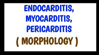 Endocarditis Myocarditis and Pericarditis  Morphology [upl. by Einhapets142]