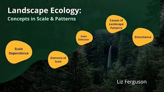 Landscape Ecology Concepts in Scale and Pattern [upl. by Kceb]