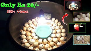 HOW TO MAKE AN INCUBATOR AT HOME IS SIMPLE AND EASY  DIYHOMEMADE INCUBATOR  YOU CAN DO THIS [upl. by Sivrat]