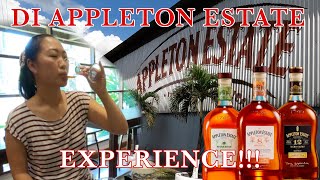 DI APPLETON ESTATE EXPERIENCE [upl. by Llenehs]