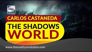 Carlos Castaneda  The Shadows World [upl. by Survance]