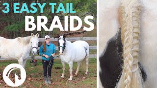 HOW TO BRAID A HORSE’S TAIL 3 Easy Braids [upl. by Rehttam963]