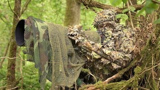 BIRD PHOTOGRAPHY in the forest  Wildlife photography behind the scenes  Nikon Z7 FTZ camouflage [upl. by Modestia]