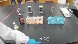 Minimal Inhibitory Concentration MIC and Minimum Bactericidal Concentration MBC  Microbiology [upl. by Arte]