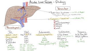 Chalk Talk Acute Liver Failure [upl. by Afnin739]