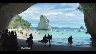 Cathedral Cove  A New Zealand Must Do  Coromandel  Traveller [upl. by Einimod]