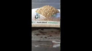 Timelapse  Cleanfire Softwood Wood Pellets into Horse Bedding [upl. by Jacquetta]