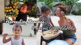 Harvesting our bananas for merienda GINANGGANG [upl. by Ker]