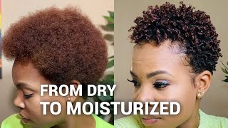 Styling my DRY natural hair  wash and go [upl. by Kress730]