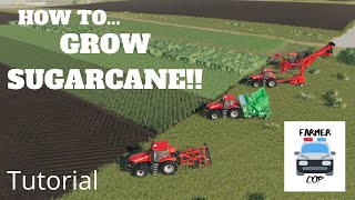 How to Grow Sugarcane in Farming Simulator 19 [upl. by Ary]